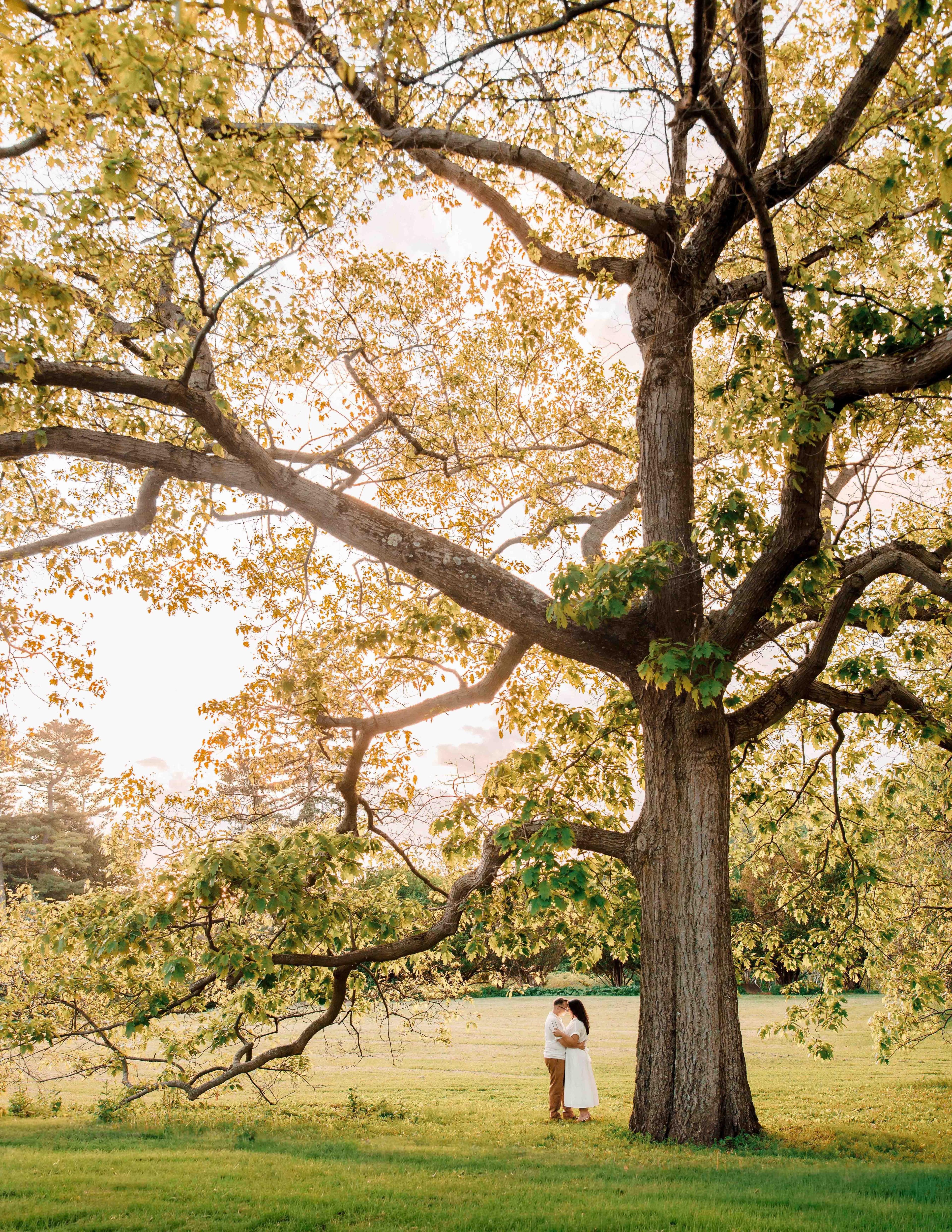 Cornell Botanic Gardens Proposal | Christina & Manny